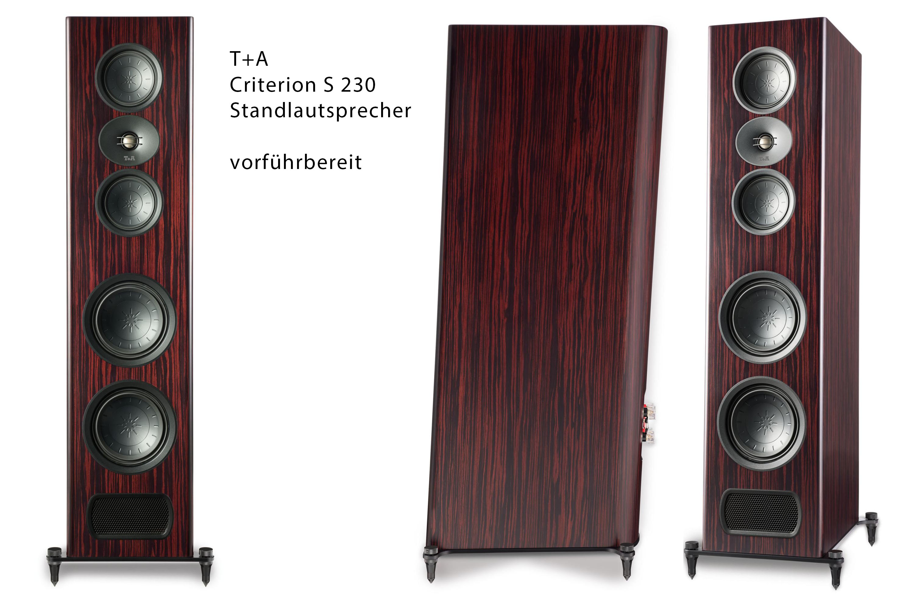 Vorführbereite T+A Criterion 230 Standlautsprecher Vorführbereite T+A Criterion 230 Standlautsprecher